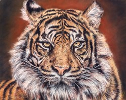 Flaming Hot by Valerie Simms - Original Drawing on Mounted Paper sized 20x16 inches. Available from Whitewall Galleries